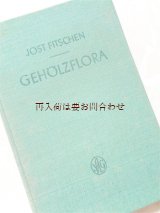 画像: 楽しい古本☆木の本　葉っぱや木の花のイラスト多数　ドイツ　近隣諸国の木と低木　　50年代　