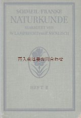 画像: 楽しい古本★　 参考書　カラー　イラスト　多数　1931年　Schmeil-Franke 植物学　昆虫　人体　自然科学　ボタニカル　