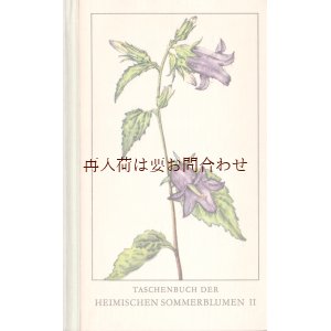 画像: 楽しい古本 洋書★　ナチュラル 　ヨーロッパ　夏の花の本　　植物　図鑑　ボタニカル　