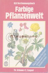 画像: 楽しい古本☆　カラフルな植物の世界　花の色別　図鑑　ボタニカル　イラスト多数