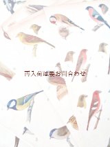 画像: 楽しい古本洋書☆　難有り　お手頃　中央ヨーロッパの野鳥と卵の図鑑　イラスト　900点　印刷物