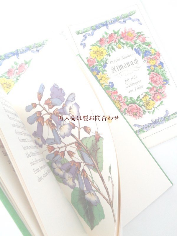 画像1: 楽しい古本☆　愛のあるガーデナーの為の植物帳　ボタニカル　イラスト　図鑑  植物画　