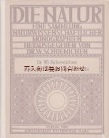 画像: 楽しい古本☆　イラストの美しい古書　自然　海の生き物　生物 イラスト　　　モノグラフ　　研究　　　論文集