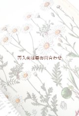 画像: 　楽しい古本　☆大きな自然図鑑　　　ボタニカル　　植物画　　カラー　　イラスト　　　鉱物　　化石　