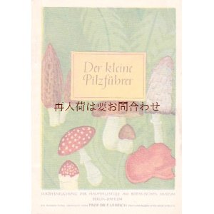画像: 楽しい古本☆　ほのぼの　可愛い　キノコの小冊子　　小さなきのこの本　植物ミュージアム