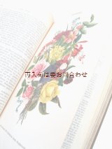 画像: アンティーク洋書★希少　大型古書　植物の王国　ボタニカル　イラスト多数　　白黒　カラー図版　挿絵　多数　