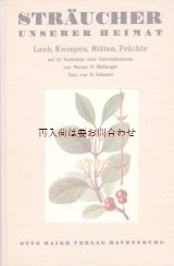 画像: アンティーク 洋書★伸びるイラスト図版の素敵な本　２１図版　　ボタニカルアート　希少　植物画