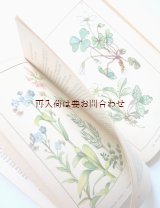 画像: 楽しい古本 洋書★　５０年代　ナチュラル 　ヨーロッパ　　ドイツ　春の花の本　　植物　図鑑　ボタニカル　