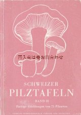 画像: 楽しい古本☆　レトロ　可愛い　スイスのキノコの小さな図鑑　　４０年代　イラスト　多数