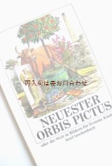 画像: 楽しい古本☆　　Neuester Orbis Pictus 　1830年代の児童書　　絵遊び　子供　言葉　４ヶ国語　