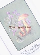 画像: アンティーク洋書★　キノコ　と自然　森のイラスト　図版多数　小冊子　
