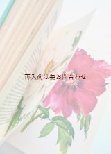 画像: 楽しい古本★ DAUSIEN  観賞用木　花用樹木　低木図鑑　　美　イラスト多数　　７０年代