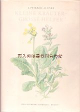 画像: アンティーク洋書★　イラスト多数　ハーブの本 　ボタニカル　イラスト　　図鑑