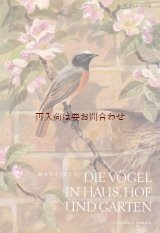 画像: アンティーク洋書　　野鳥シリーズ　　庭や裏庭の小鳥の本　　ヨーロッパ　ドイツ　身近な鳥の本