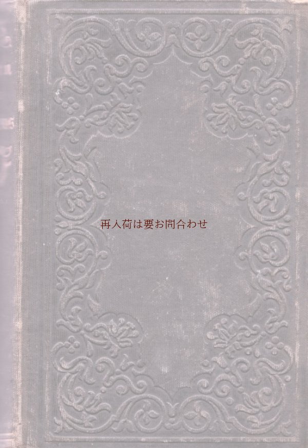 画像1: アンティーク洋書☆エンボス　シャビーな古書　立体的な模様　Merkwürdige Lebensgeschichte 　