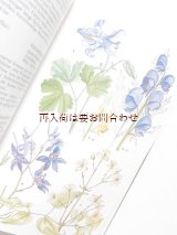 画像: 楽しい古本　　洋書★　アンニュイなイラストの植物百科事典　図鑑　花　木　草花　野菜　果物　シダ　コケ　キノコも