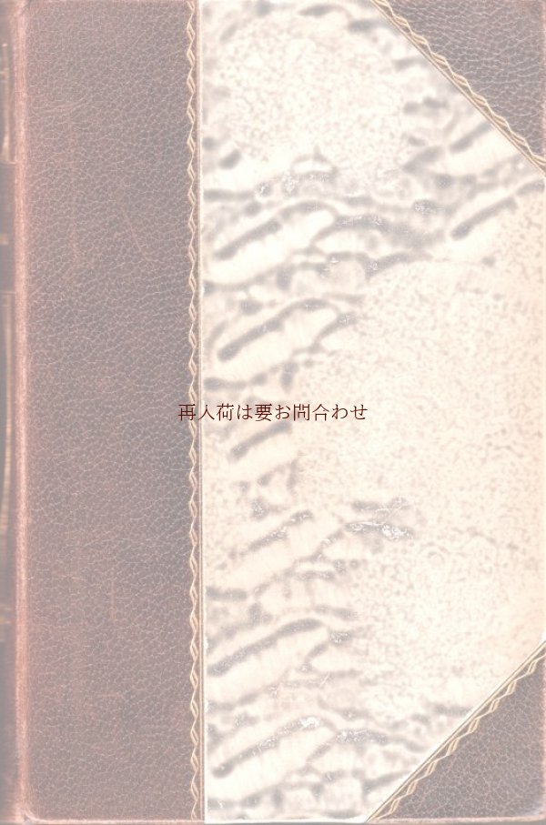 画像1: アンティーク洋書★　 背表紙　四隅　　エンボス　革装　Soll und Haben　小説　