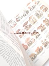 画像: アンティーク洋書★　キノコの図版が素敵な古書　背表紙難あり　レトロ　図鑑  30年代