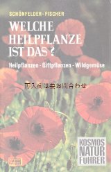 画像: 　楽しい古本★　ハンドブック　ヒーリング植物　　薬草　ハーブ　　薬草　毒草　山菜　図鑑　白黒　カラーイラスト　多数