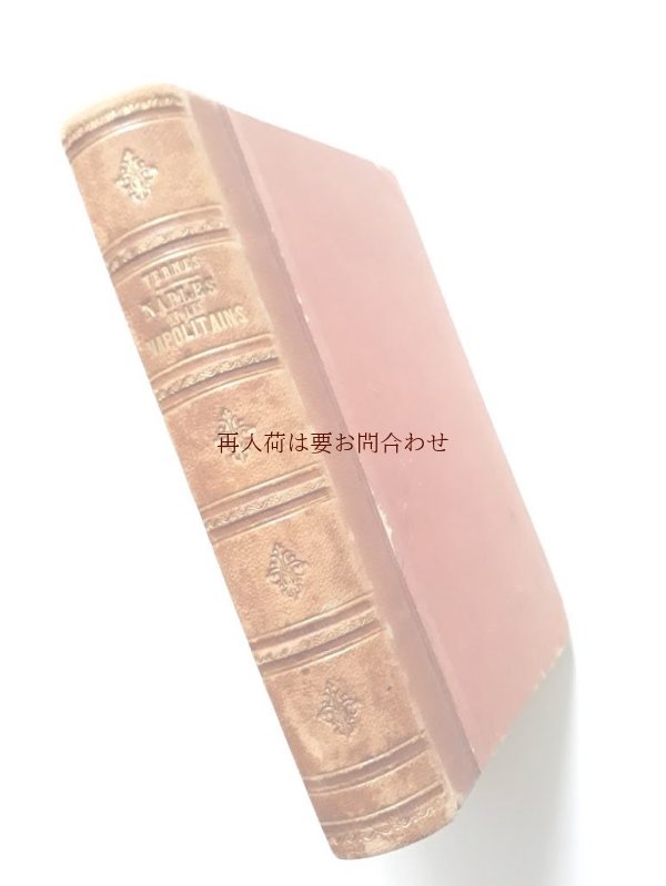 画像1: アンティーク洋書　★ フランスの古書　仏語　背表紙　エンボス　革装　1860年