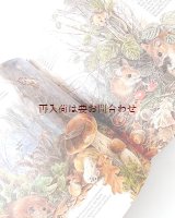 画像: 　楽しい古本☆　おとぎ話のような風景☆　哺乳類　中央ヨーロッパの陸生動物　　自然　イラスト　　多数　動物の図鑑　　