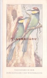 画像: 楽しい古本 洋書★　ナチュラル　渡り鳥と冬の鳥の本　小鳥　野鳥　イラスト 多数　　図鑑