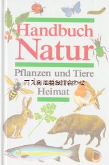 画像: 楽しい古本☆　自然　イラスト多数　小動物　動物　植物　シダ　こけ　きのこ　魚　昆虫他　ヨーロッパ生き物図鑑　　　