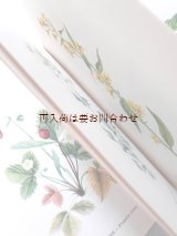 画像: 楽しい古本★ヒーリング植物ハンドブック　薬草　野草　ハーブ　図鑑　　カラー  美イラスト　多数　　ボタニカル　アート　