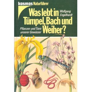 画像: 楽しい古本☆　水辺の生物図鑑　池　小川　湖　自然　イラスト多数　動物　昆虫　植物　ナチュラル　