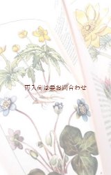 画像: 楽しい古本 洋書★　春の花の本　　ナチュラル 　ヨーロッパ　　ドイツ　　　植物　図鑑　ボタニカル　