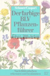 画像: 　楽しい古本★　ハンドブック　 カラフル　　花の色別植物図鑑　ボタニカル　植物イラスト　多数　　