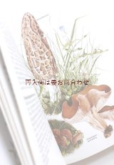画像: 楽しい古本　洋古書★ 　キノコ　　味のあるカラーイラスト　　図鑑　シリーズ　　トリュフ他　