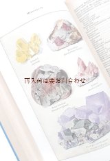 画像: 再入荷　アートな図鑑★　自然の本　動物　植物　鉱物　昆虫　天文　ナチュラル　　図鑑　　イラスト資料多数　