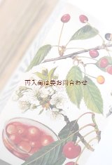 画像: ボタニカル古本★　カラフル　　中央ヨーロッパの木の本　　　木　低木　木の実　　　図鑑　　イラスト多数　
