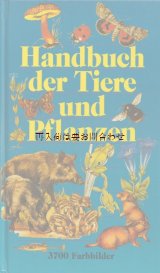画像: 楽しい古本☆　大きめ　動植物図鑑　自然　イラスト3700点　小動物　動物　植物　シダ　こけ　きのこ　　昆虫他　ヨーロッパ生き物図鑑　　　