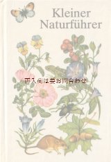 画像: ボタニカル古本☆再入荷　のほほんイラスト多数　　動物　植物　　きのこ　小鳥　昆虫他　ヨーロッパ生き物図鑑　　　