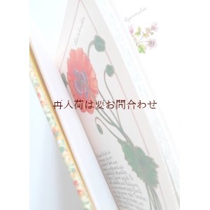 画像: アートな古本★ お庭の本　ガーデニングアドバイス　　ガーデン　　庭園　　植物　モチーフイラスト多数　