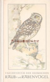 画像: 楽しい古本 洋書★　ナチュラル　 　野鳥の本　　猛禽類　フクロウ他　　イラスト多数 60年代