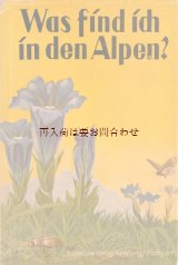 画像: アンティーク洋書★画像多数　　1937年　　イラスト　図版  アルプルの植物動物　自然ガイド　シャビーな古書