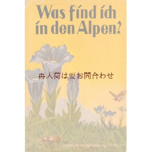 画像: アンティーク洋書★画像多数　　1937年　　イラスト　図版  アルプルの植物動物　自然ガイド　シャビーな古書