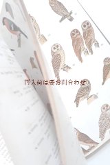 画像: 楽しい古本洋書☆カラー＆白黒画像多数　中央ヨーロッパの野鳥図鑑　イラスト　　自然　