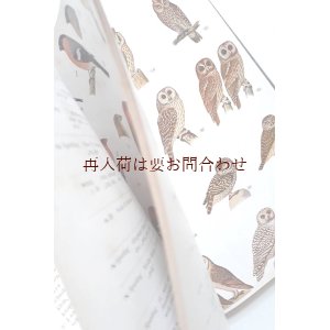 画像: 楽しい古本洋書☆カラー＆白黒画像多数　中央ヨーロッパの野鳥図鑑　イラスト　　自然　