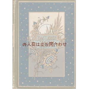 画像: アンティーク洋書★　イエス•キリストの生涯　美しいイラストページ　　　伝記　聖書のお話　引用集