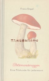 画像: 楽しい古本☆　レトロなキノコの本　カラー図版　　図鑑　みんなの実用キノコ図鑑　50年代　