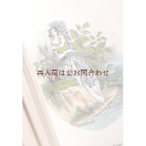 画像: アートな古本★ 　Les fleurs animées.コレクション　花の精霊　妖精　リプリント　J.J. Grandville　イラスト集　　