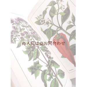 画像: 楽しい古本　☆スパイス　ハーブの本　植物　　薬草　ヒーリング植物　　　レトロ　ボタニカルイラスト