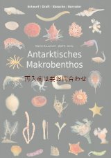 画像: 楽しい古本★　希少な南極マクロベントス図鑑　フィールドガイド　　小さな海の生物写真集　　　自然　ガイド