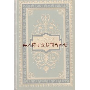 画像: アンティーク洋書★希少　 背表紙　エンボス美装丁本　　デザインの美しいドイツの古書　　小説