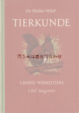 画像: アートな古本★60年代　動物柄　動植物のイラストが美しい古書　動物学　自然科学　　哺乳類の本