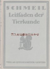 画像: 楽しい古本★　1924年　動物学　　動物界　生物　昆虫　生態　学習　教材 　イラスト　挿絵　多数